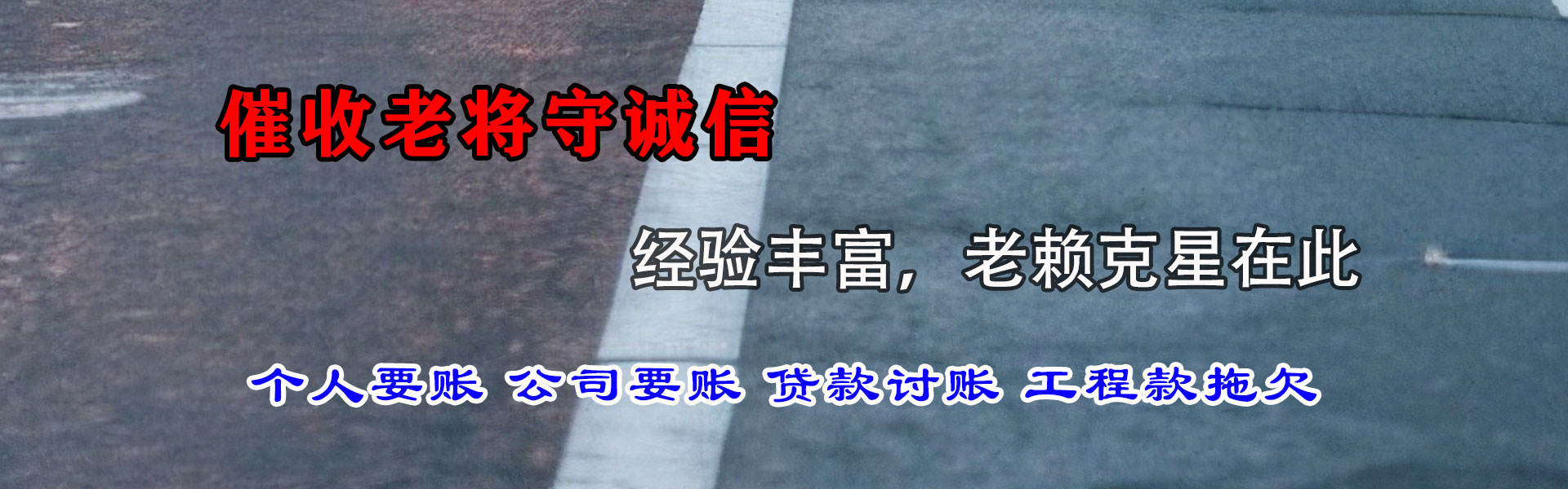 南丹追债公司